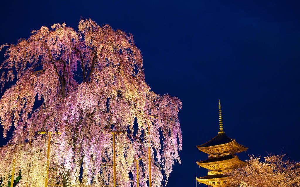 Miyanoan Villa Kyoto Exterior foto