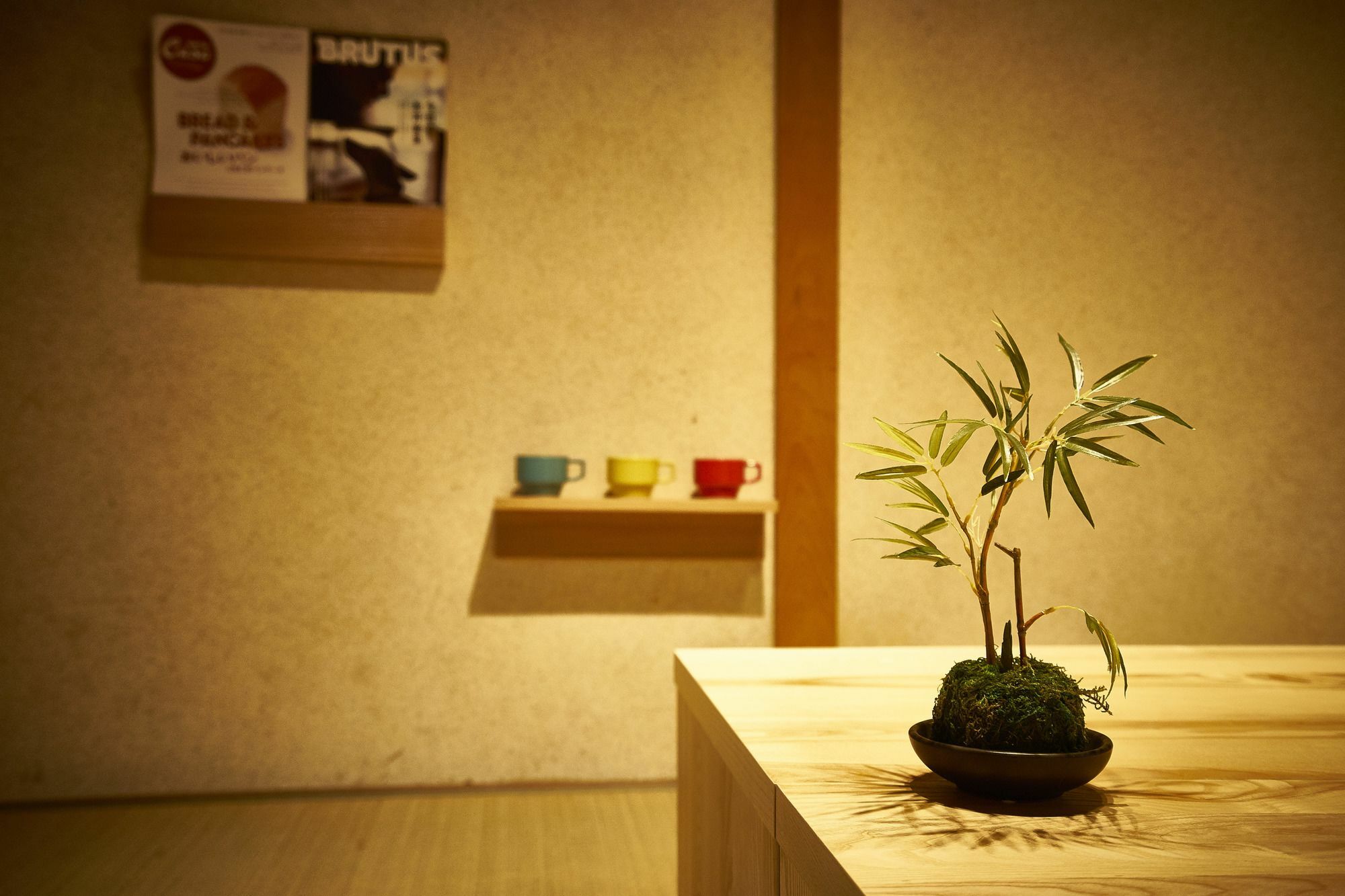 Miyanoan Villa Kyoto Exterior foto